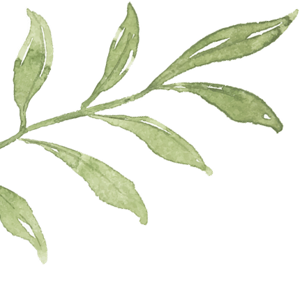 decorative_leaves